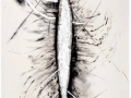 De la serie Anima Mundi XVI