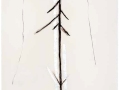 De la serie Anima Mundi XVIII