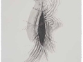 De la serie Anima Mundi XXVII