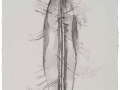 De la serie Anima Mundi XXVIII