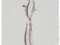 De la serie Anima Mundi XXIX