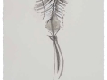 De la serie Anima Mundi XXX