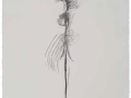 De la serie Anima Mundi XXXI