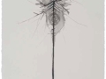 De la serie Anima Mundi XXXIII