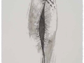 De la serie Anima Mundi XXXIV