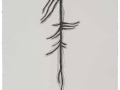 De la serie Anima Mundi XXXVII