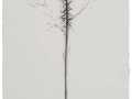 De la serie Anima Mundi XXXVIII