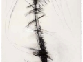 De la serie Anima Mundi IV