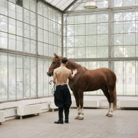 Model with a Horse