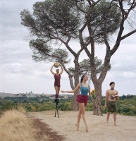 Don-Quijote-en-Madrid